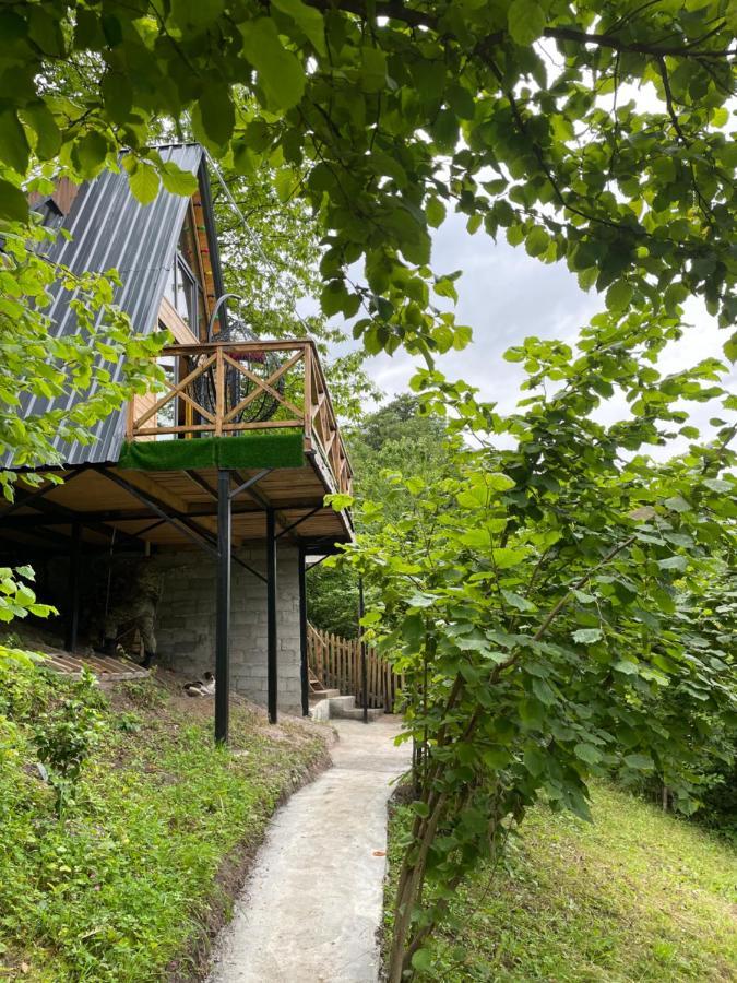 Forest House Dandalo Exteriör bild