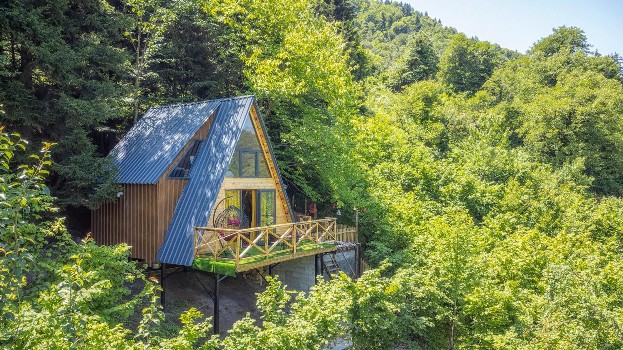 Forest House Dandalo Exteriör bild